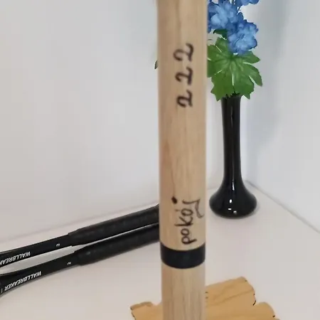 Nad Zalewem 222 Appartement *